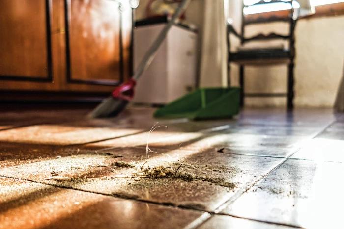 Photograph of a pile of dust on the floor.