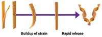 Serving the chemical, life science, and laboratory worlds