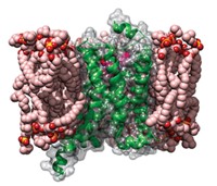 Serving the chemical, life science, and laboratory worlds