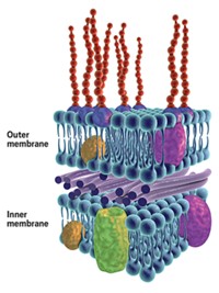 Serving the chemical, life science, and laboratory worlds