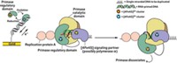 Serving the chemical, life science, and laboratory worlds