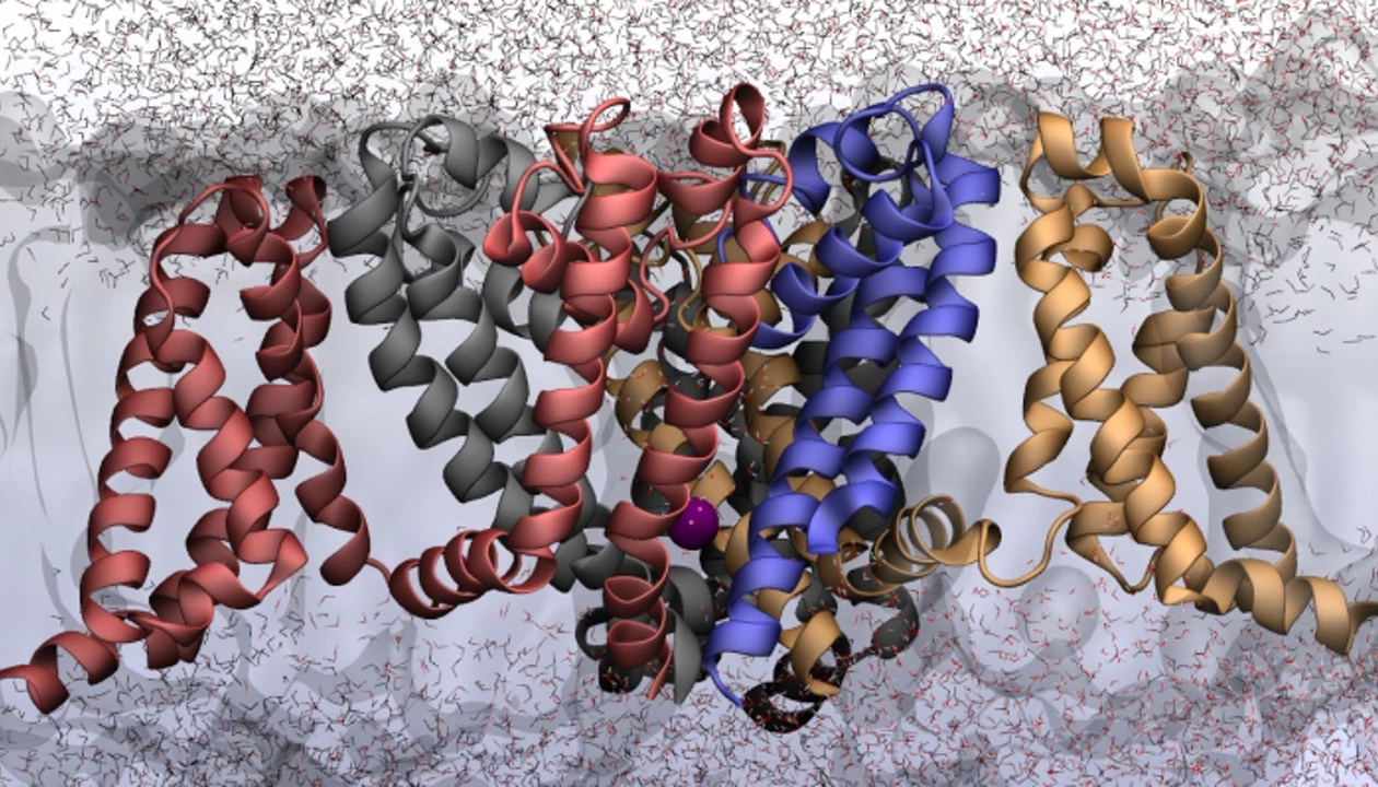 Chemistry and computer coding brought together in NSF-funded institute
