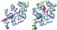 Serving the chemical, life science, and laboratory worlds