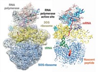 Serving the chemical, life science, and laboratory worlds