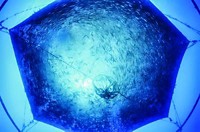 Serving the chemical, life science, and laboratory worlds