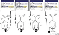 Serving the chemical, life science, and laboratory worlds