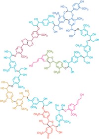 Serving the chemical, life science, and laboratory worlds