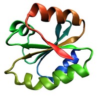 Serving the chemical, life science, and laboratory worlds