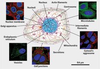 Serving the chemical, life science, and laboratory worlds