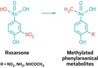 Serving the chemical, life science, and laboratory worlds