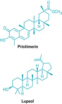 Serving the chemical, life science, and laboratory worlds