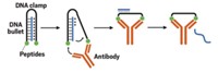 Serving the chemical, life science, and laboratory worlds