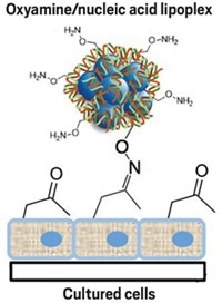 Serving the chemical, life science, and laboratory worlds