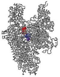 Serving the chemical, life science, and laboratory worlds