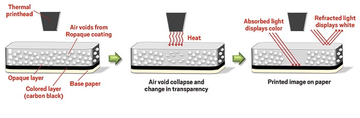 case study on green chemistry