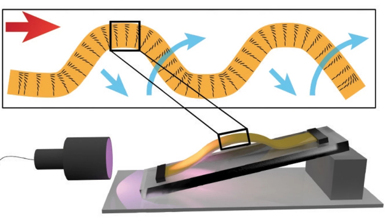 Polymer ribbons undulate and walk in UV light