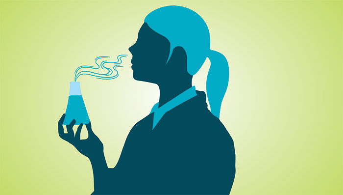 What makes a stink bomb stink?  Office for Science and Society