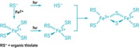 Serving the chemical, life science, and laboratory worlds