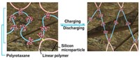 Serving the chemical, life science, and laboratory worlds