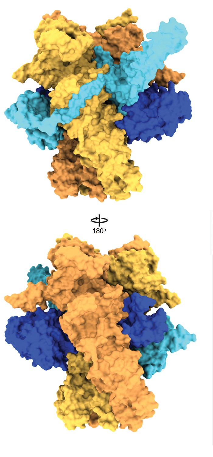 Revealing the best-kept secrets of proteins