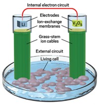 Serving the chemical, life science, and laboratory worlds