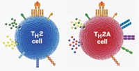 Serving the chemical, life science, and laboratory worlds