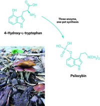 Serving the chemical, life science, and laboratory worlds