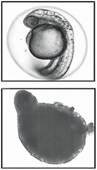 Serving the chemical, life science, and laboratory worlds
