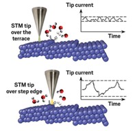 Serving the chemical, life science, and laboratory worlds