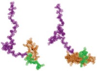 Serving the chemical, life science, and laboratory worlds