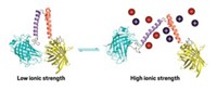 Serving the chemical, life science, and laboratory worlds