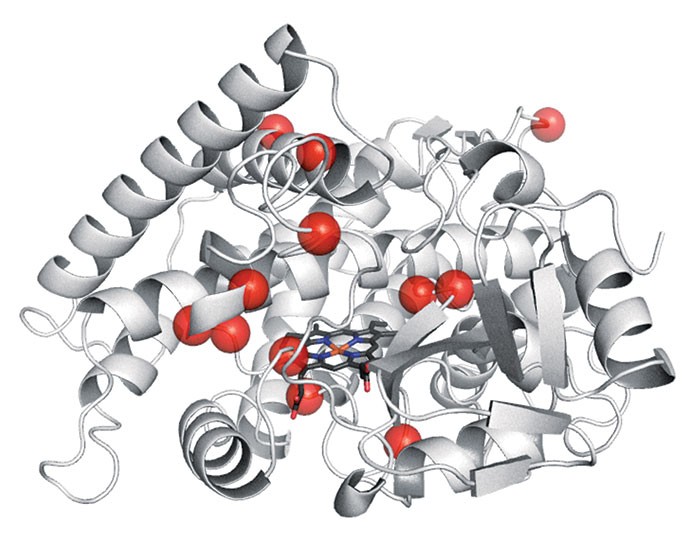 Serving the chemical, life science, and laboratory worlds