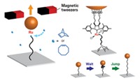 Serving the chemical, life science, and laboratory worlds