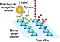 Serving the chemical, life science, and laboratory worlds