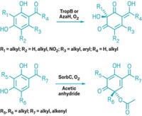 Serving the chemical, life science, and laboratory worlds