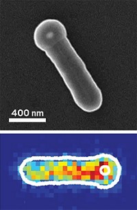 Serving the chemical, life science, and laboratory worlds