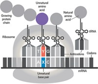 Serving the chemical, life science, and laboratory worlds