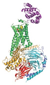 Serving the chemical, life science, and laboratory worlds