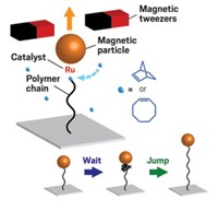 Serving the chemical, life science, and laboratory worlds