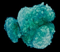 Serving the chemical, life science, and laboratory worlds