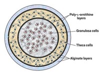 Serving the chemical, life science, and laboratory worlds