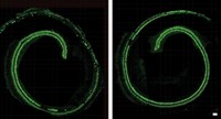 Serving the chemical, life science, and laboratory worlds