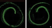 Serving the chemical, life science, and laboratory worlds