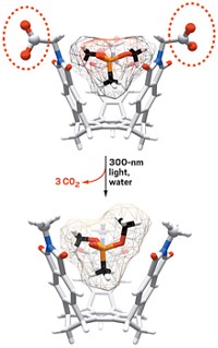 Serving the chemical, life science, and laboratory worlds