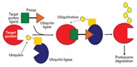 Serving the chemical, life science, and laboratory worlds