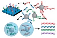 Serving the chemical, life science, and laboratory worlds