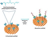 Serving the chemical, life science, and laboratory worlds