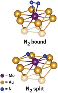 Serving the chemical, life science, and laboratory worlds