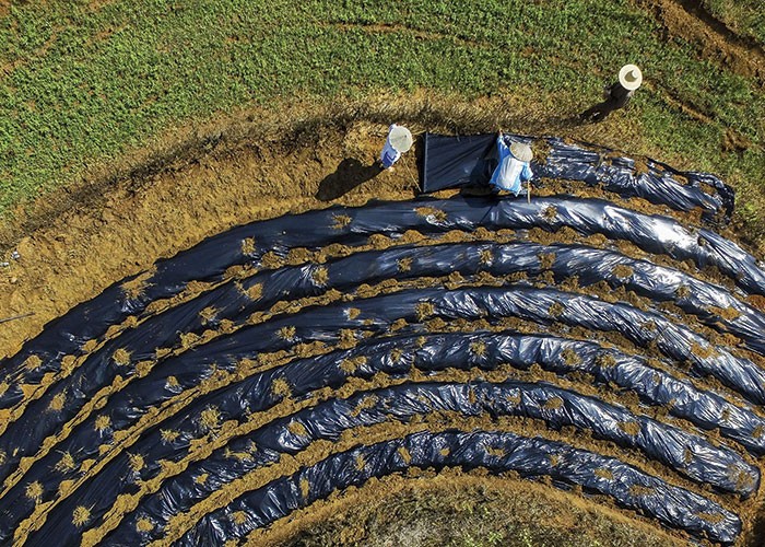 TryingnewmulchingfilmsChinese