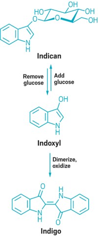 Serving the chemical, life science, and laboratory worlds